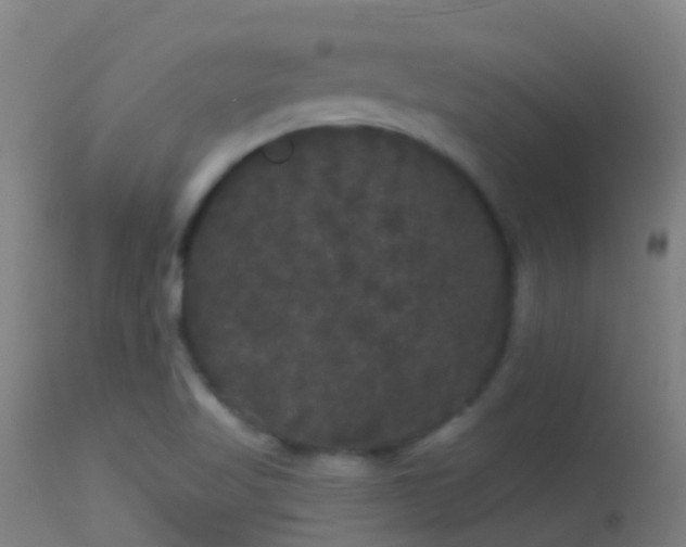 X0000114181509200910151648