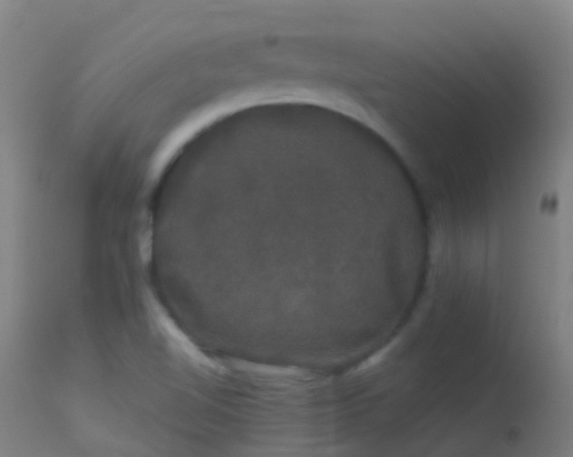 X0000114181510200910151648