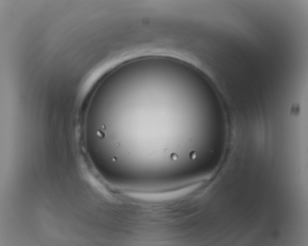 X0000114181511200910151648