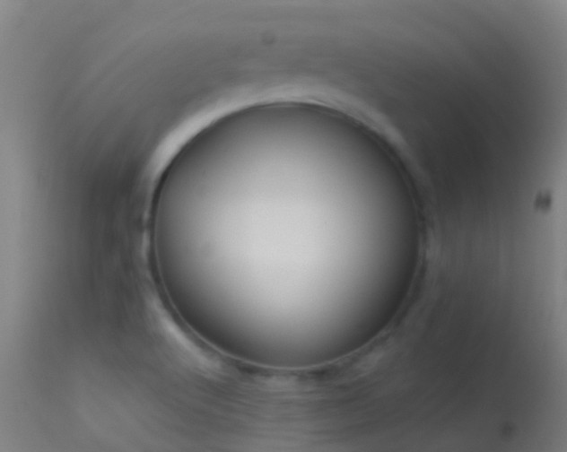 X0000114181512200910151648