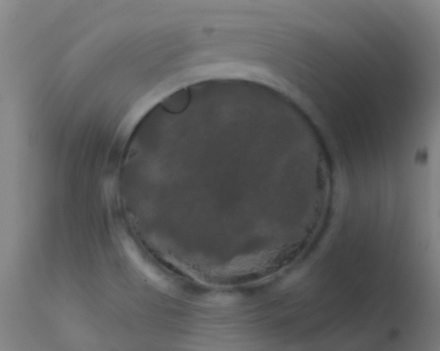 X0000114181513200910151648