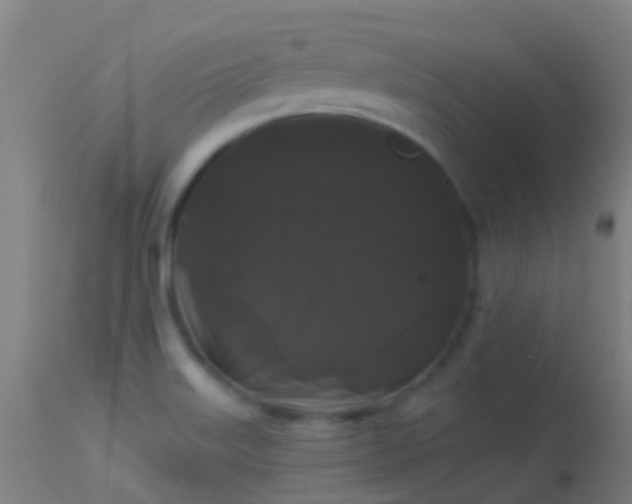 X0000114181515200910151648