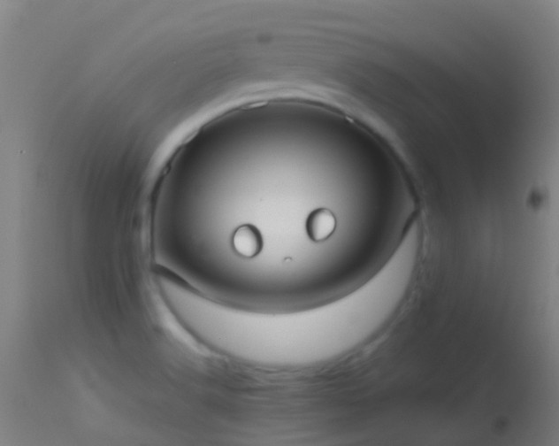 X0000114181516200910151648