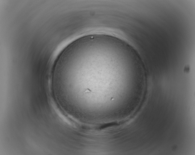 X0000114181517200910151648