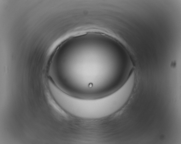 X0000114181518200910151648