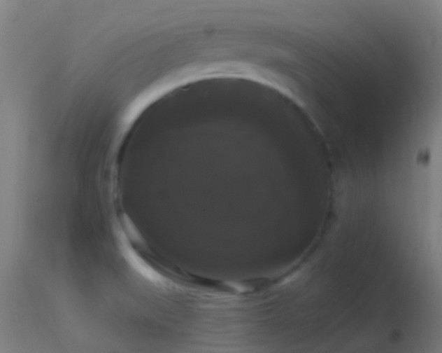 X0000114181519200910151648