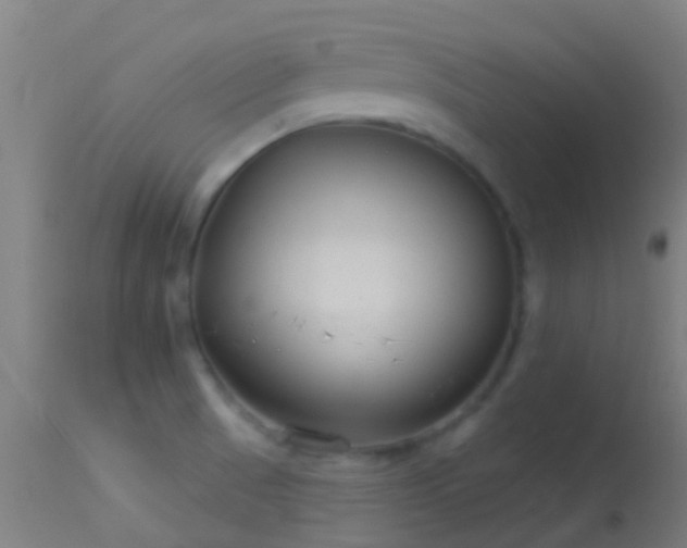 X0000114181521200910151648