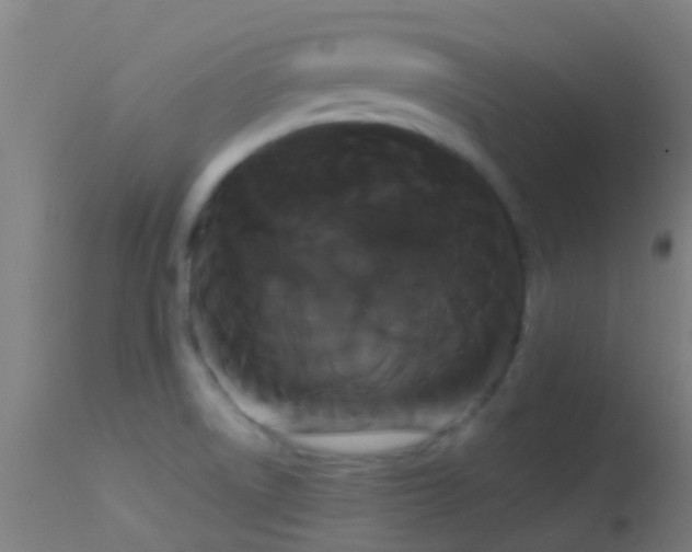 X0000114181522200910151648