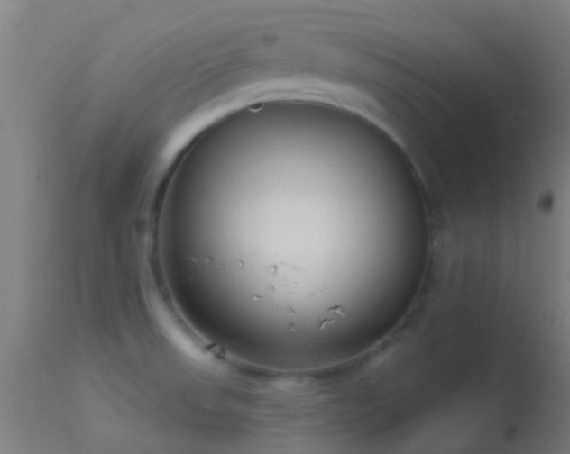 X0000114181523200910151648