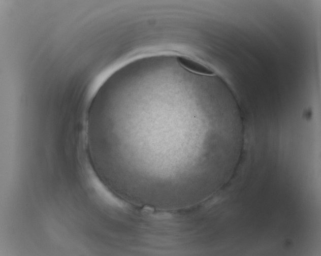 X0000114181524200910151648