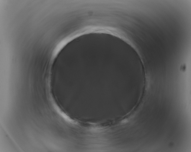 X0000114181525200910151648