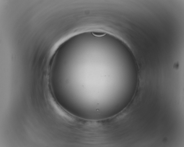 X0000114181526200910151648