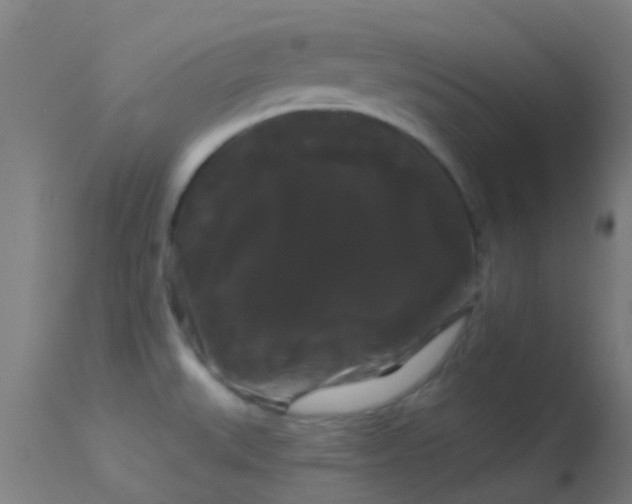 X0000114181527200910151648
