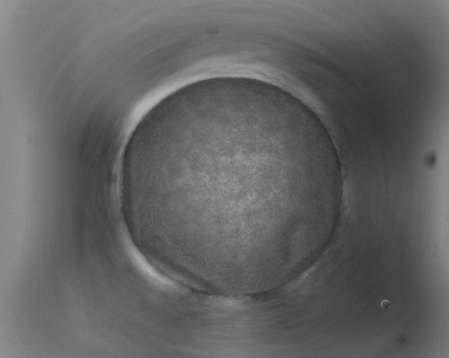 X0000114181528200910151648
