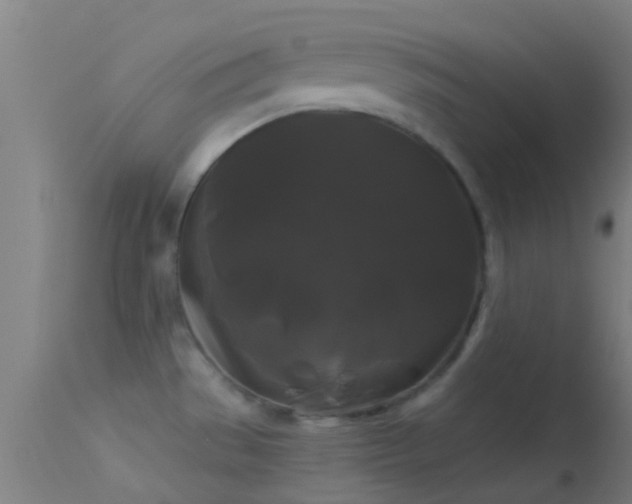 X0000114181529200910151648