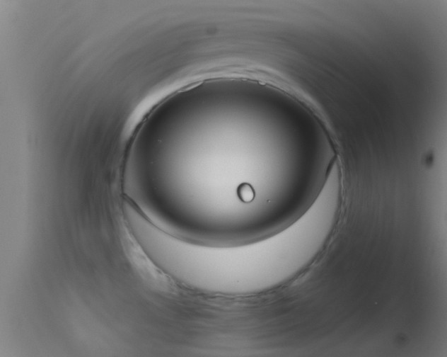 X0000114181530200910151648