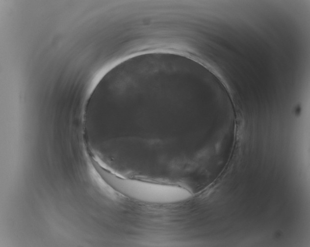X0000114181532200910151648