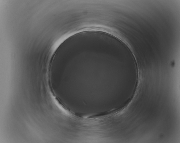 X0000114181533200910151648