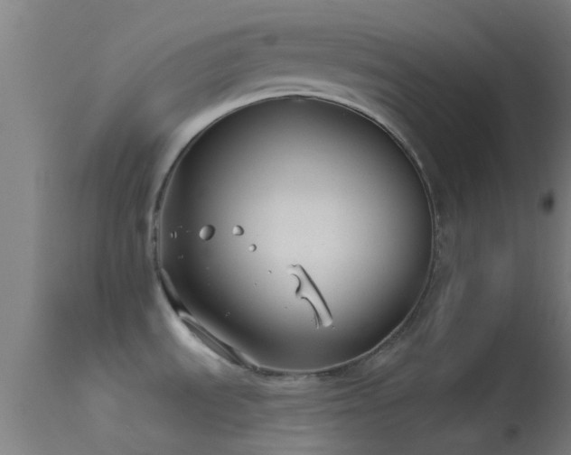 X0000114181535200910151648