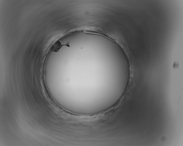 X0000114180001200910221723