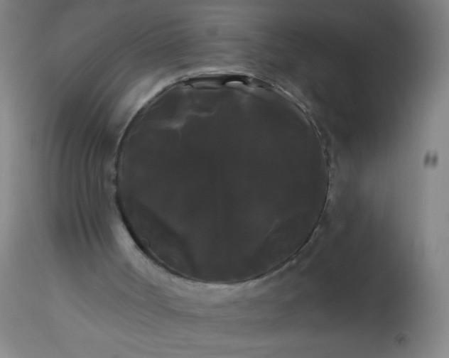 X0000114180002200910221723