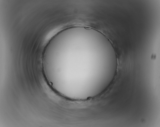 X0000114180005200910221723