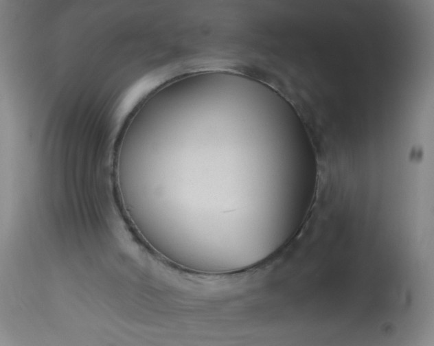 X0000114180006200910221723