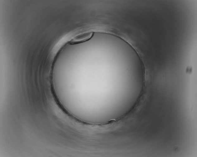 X0000114180007200910221723