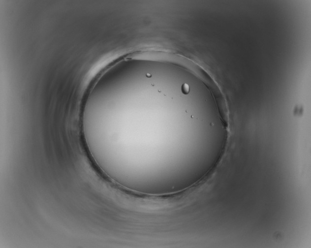 X0000114180008200910221723