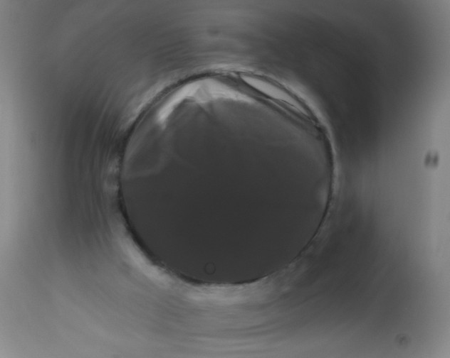 X0000114180009200910221723