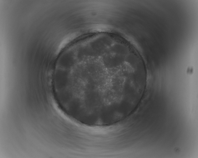 X0000114180010200910221723