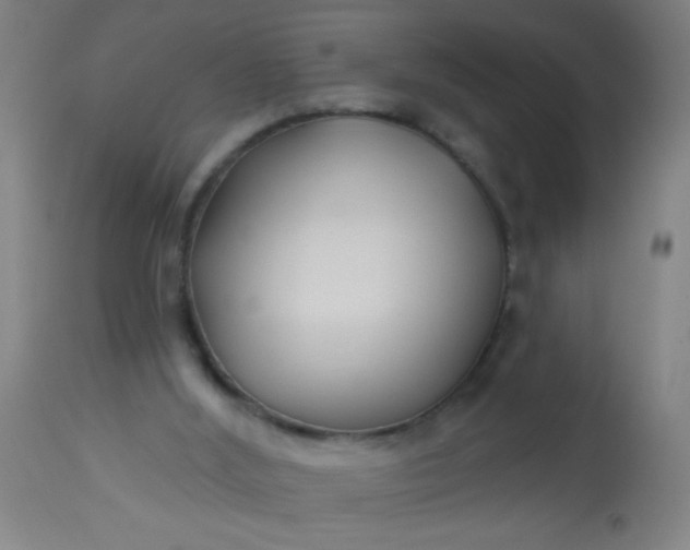 X0000114180012200910221723