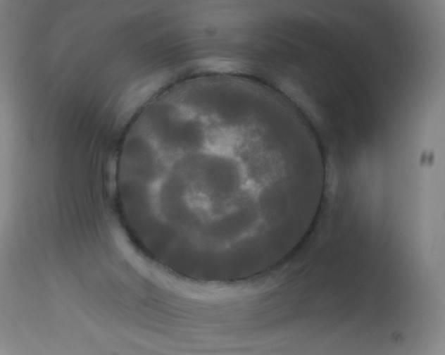 X0000114180014200910221723