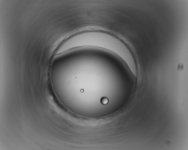 X0000114180015200910221723