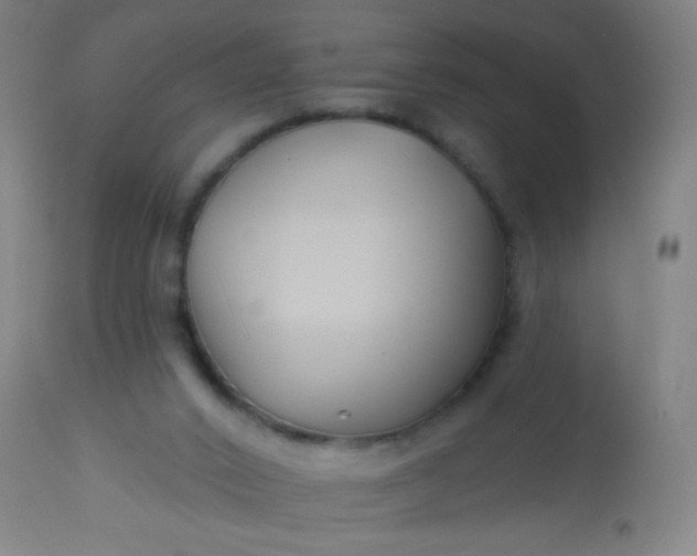 X0000114180016200910221723