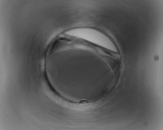 X0000114180019200910221723