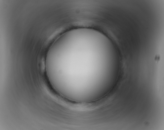 X0000114180020200910221723