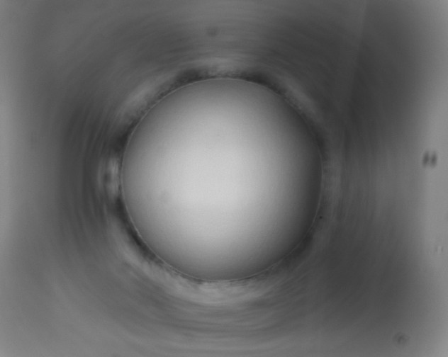 X0000114180022200910221723