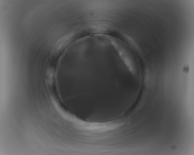 X0000114180026200910221723