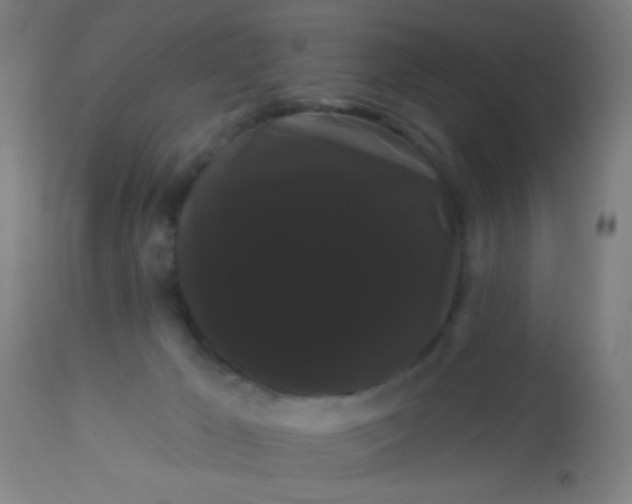 X0000114180029200910221723