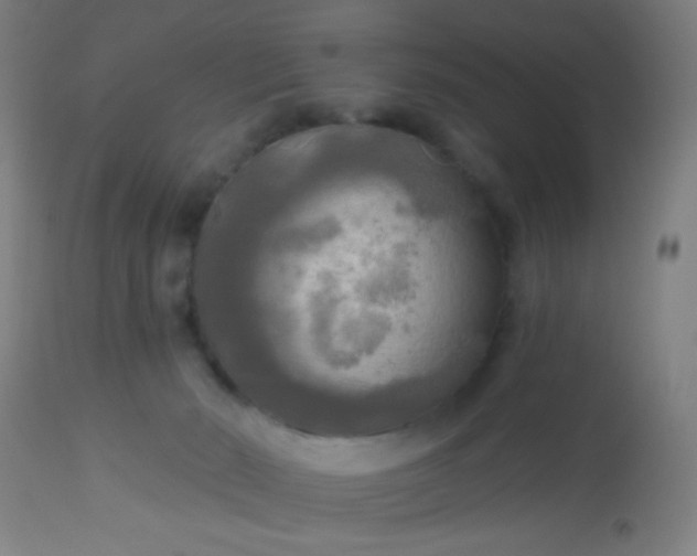 X0000114180030200910221723