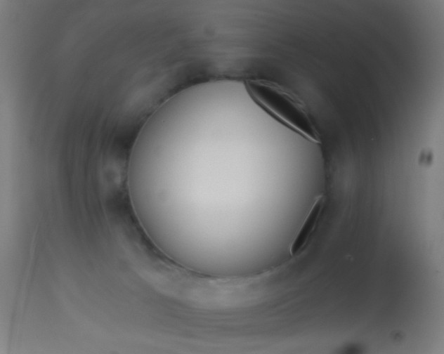 X0000114180033200910221723