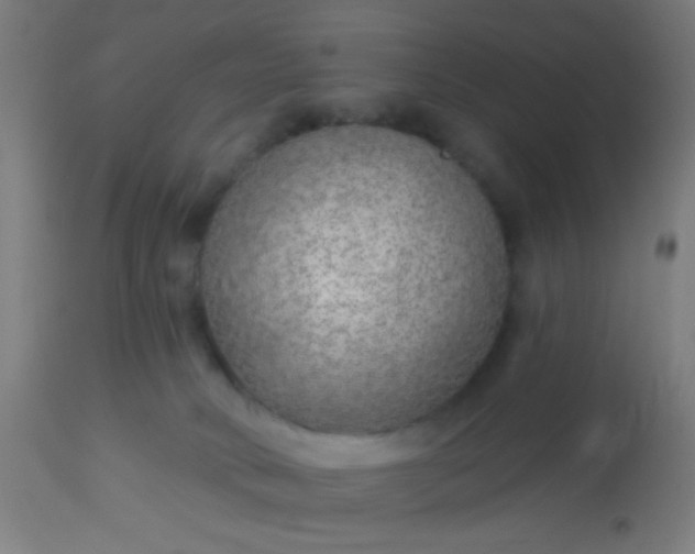 X0000114180034200910221723