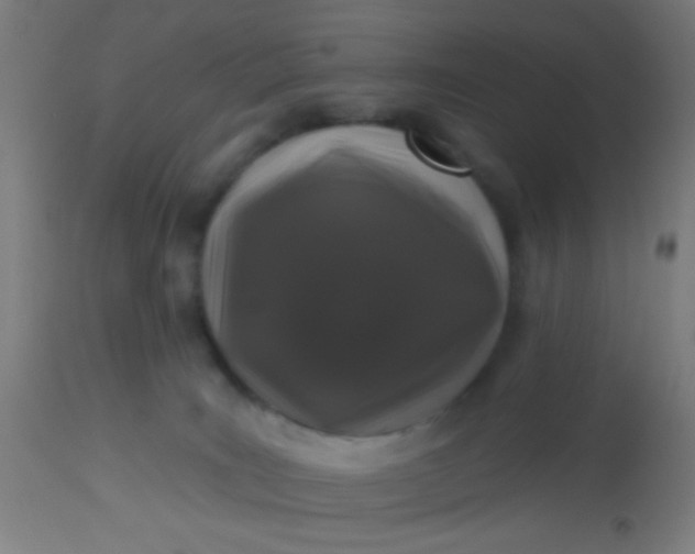 X0000114180035200910221723