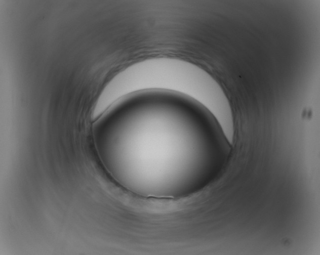 X0000114180037200910221723