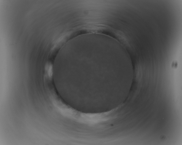 X0000114180041200910221723