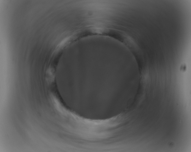 X0000114180043200910221723