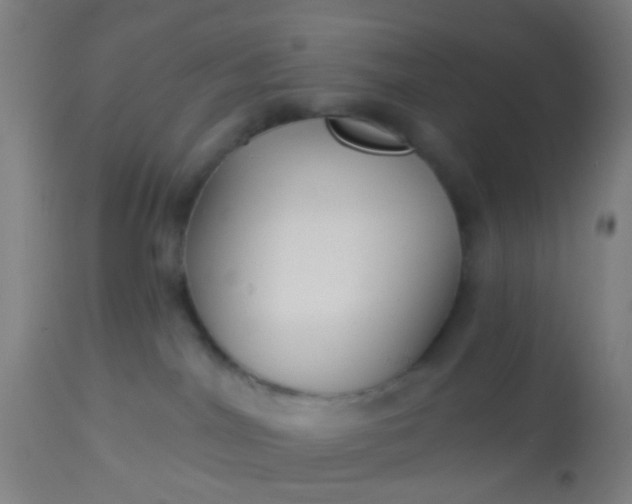 X0000114180044200910221723