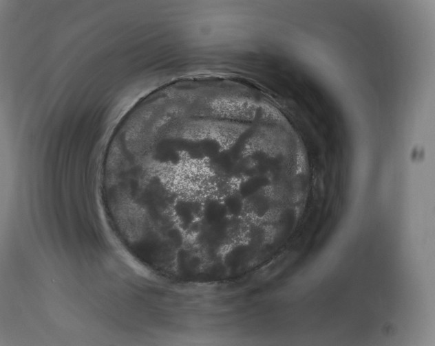 X0000114180049200910221722