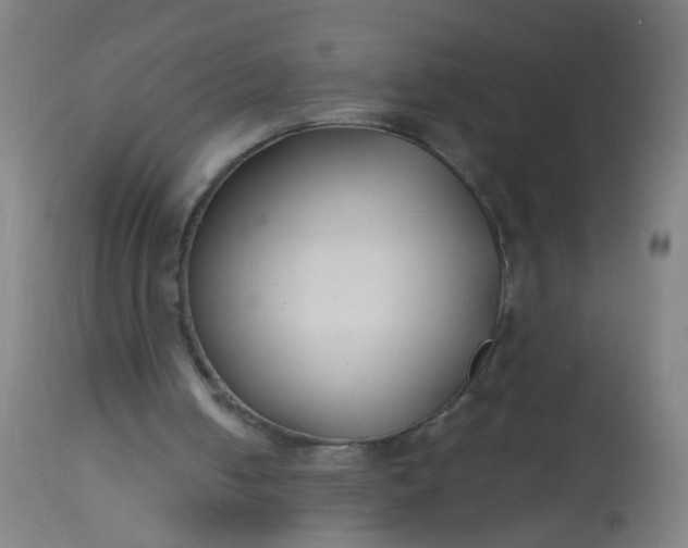 X0000114180050200910221722